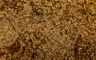 Your Guide to the Conservation Reserve Program (CRP)