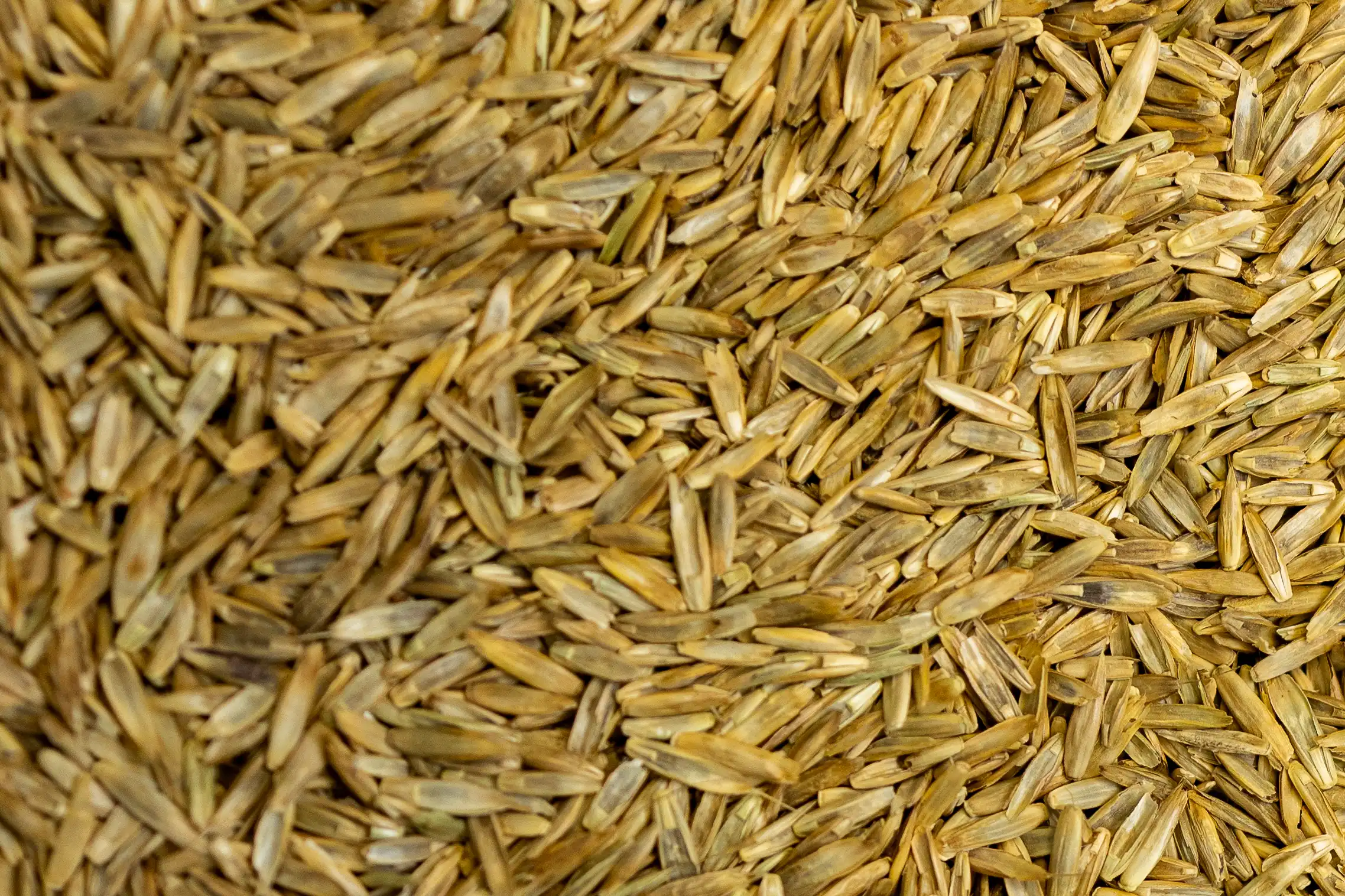 Hay Renovator Warm Season