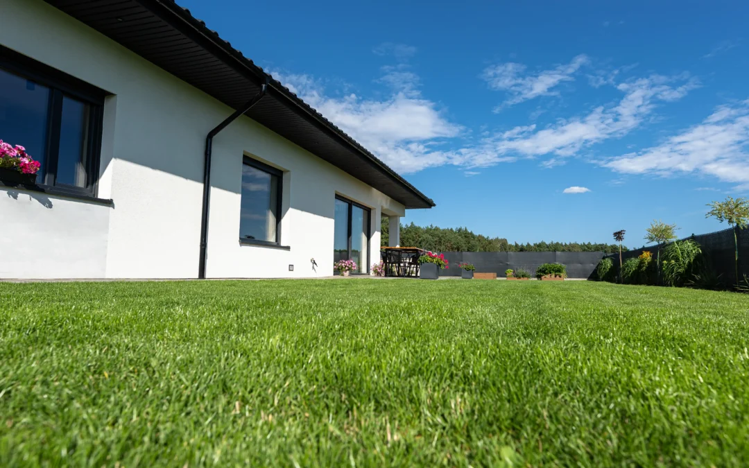 Fertilizer Chemicals & Care