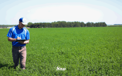 Mid-Season Defense: July Guide to Fungicide & Insect Scouting