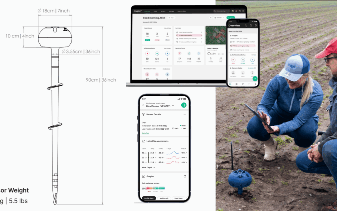 June Field Strategy: Stay Ahead