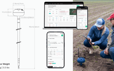 June Field Strategy: Stay Ahead