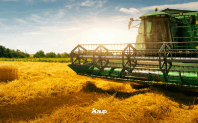 An Agronomist’s Guide to August Decisions That Still Impact Yield