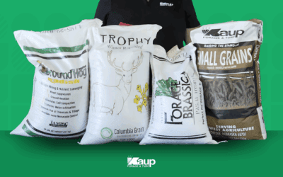 How Cover Crops Can Boost Your Bottom Line