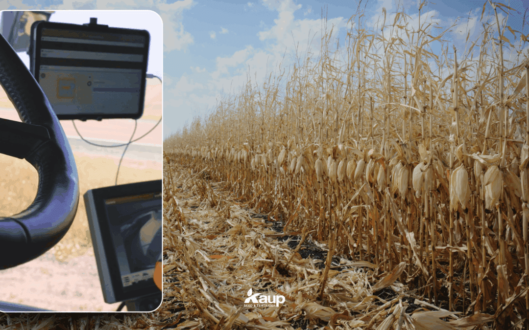 Planning Beyond the Combine: October Priorities