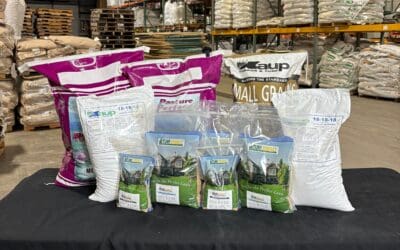 November — Why This Quiet Month Builds Stronger Seasons Ahead