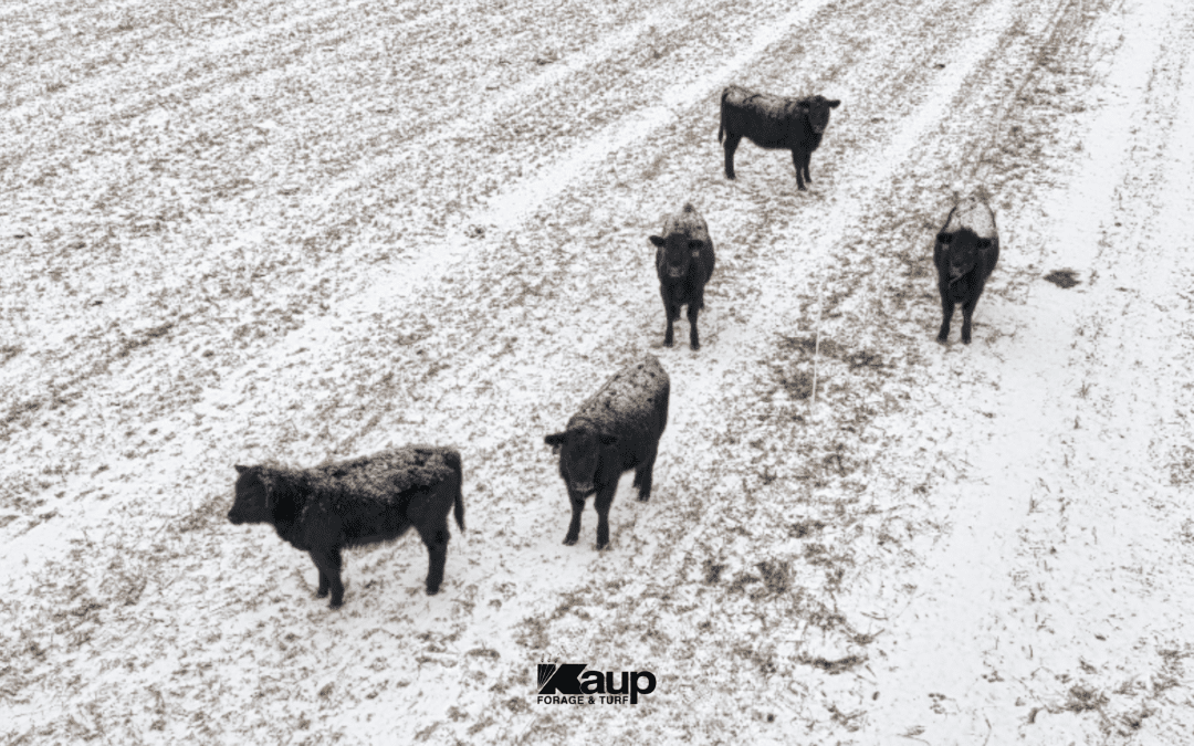 Planning Ahead: 7 Questions Every Grower Should Ask Before Spring