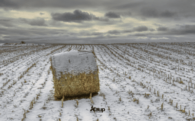 What You Can Still Learn From Your Fields Before Freeze-Up