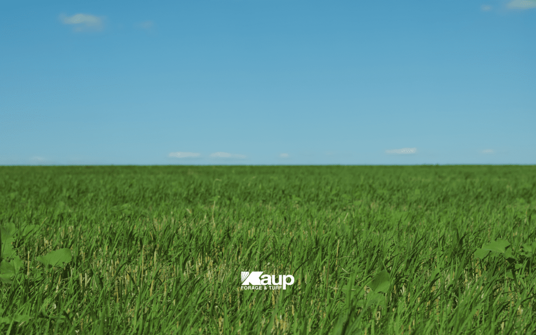 Spring Planting Guide for Nebraska | What to Plant First