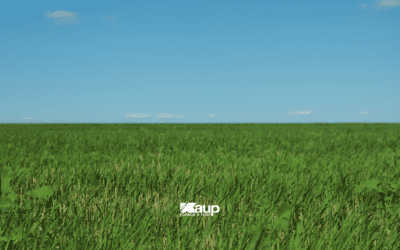 Spring Planting Guide for Nebraska | What to Plant First