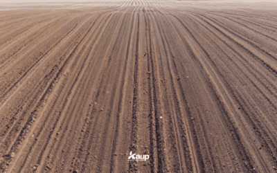 Why Planting Corn Too Early Costs More Than Waiting