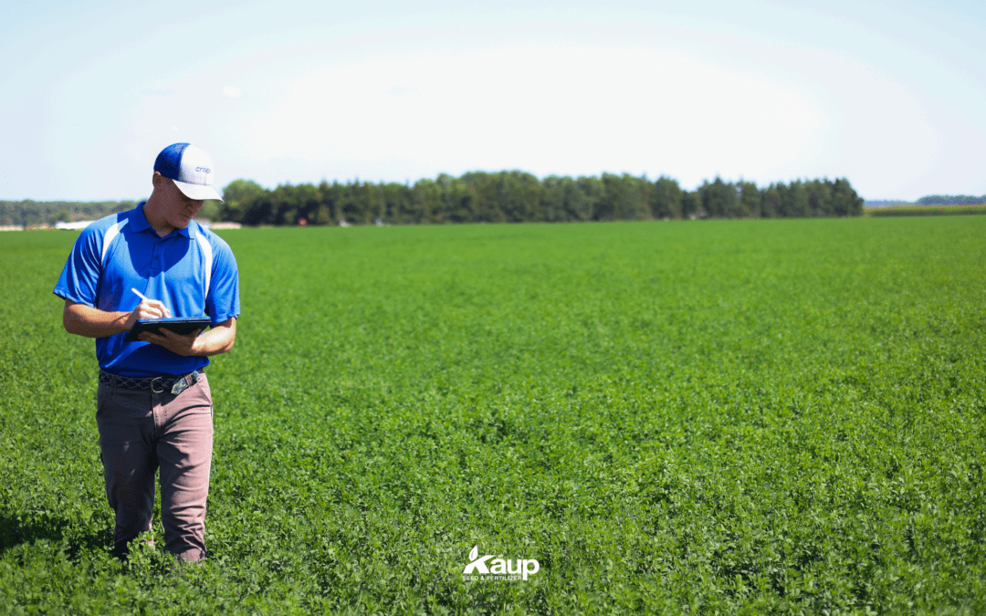 agronomist scouting corn V8-V14 nutrient management Cuming County Nebraska