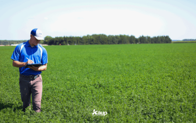 Feeding the Crop: V8-V14 Nutrient and Water Management
