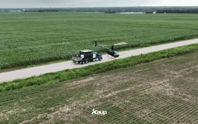 July Corn Fungicide Timing | Kaup Seed & Fertilizer