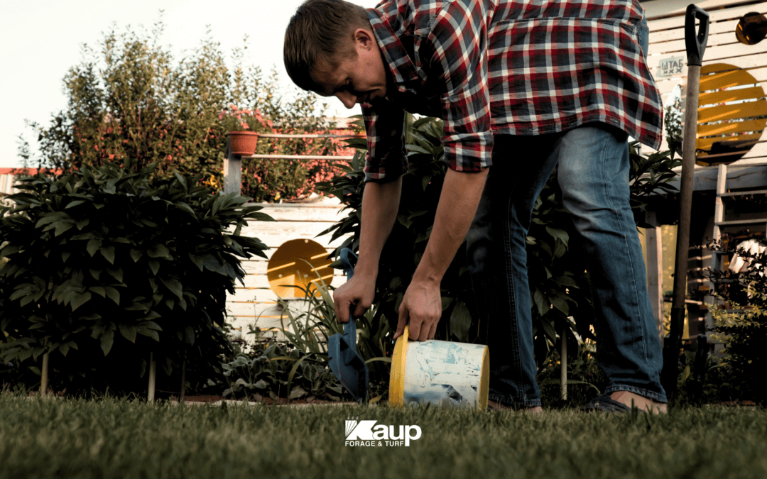 Fall Lawn Seeding Nebraska: Aug 10–Sep 5