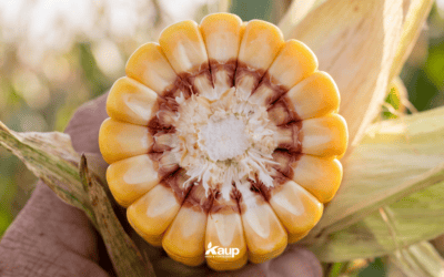 The Finish-Line Checklist: Last things to Consider Before Harvest