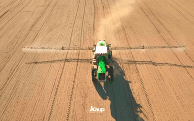 Fall Weed Control Northeast Nebraska | Kaup Seed