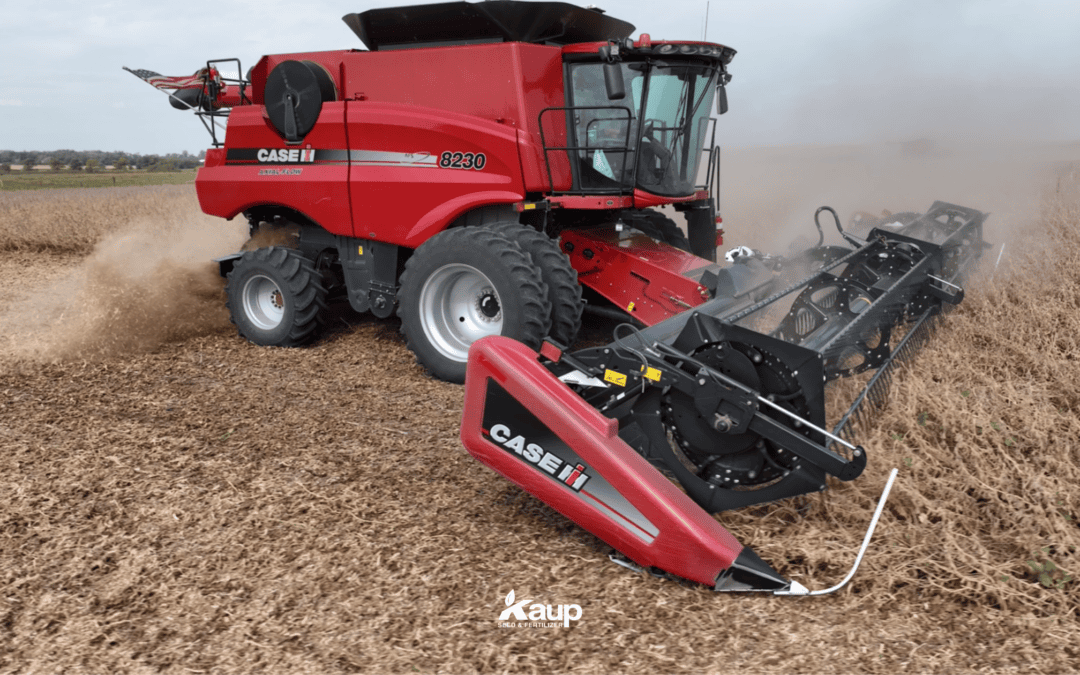 Combine harvesting in Cuming County